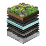 Standard Sedum-Mix Blanket