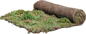 Roofscapes® Sedum Mix Blanket