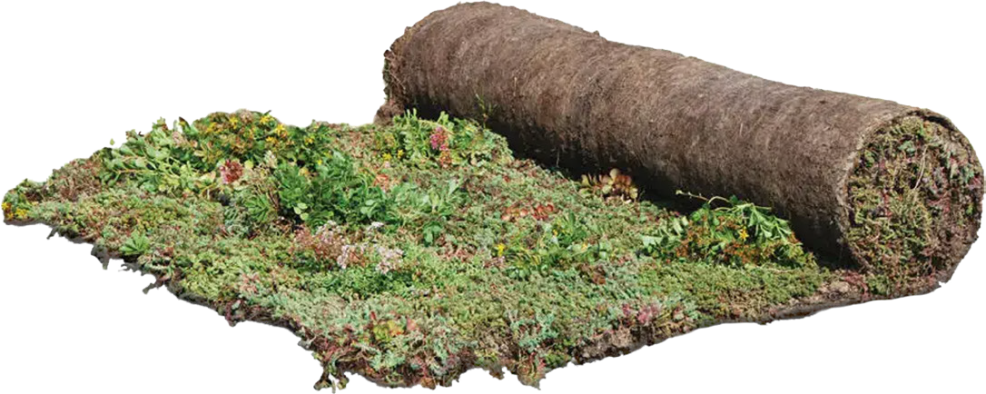 Roofscapes® Sedum Mix Blanket