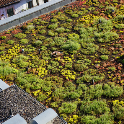 AdobeStock_283255773-scaled